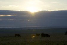 DSC_1387.jpg
