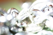 DSC_1357.jpg