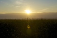 DSC_1412.jpg