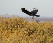 DSC_5446.jpg