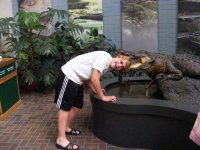 gator.jpg