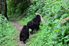 DSC_0247.jpg DSC_0247.jpg