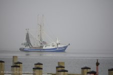 DSC_8953.jpg