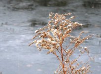 DSCN9346.jpg