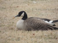 DSCN9358.jpg
