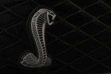 Cobra.jpg