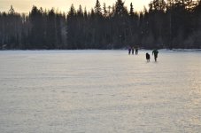 NIK_8543.jpg