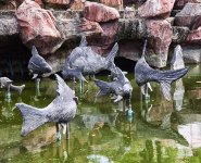 banbuengfish-1.jpg
