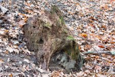 DSC_5911.jpg