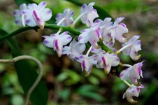 DSC_3801.jpg
