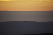 DSC_1506.jpg