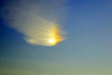 SUN DOG 011.jpg