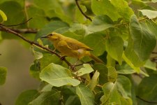 DSC_3524.jpg