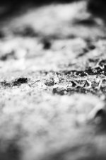 50mm_kongelundsvej_1589_web.jpg