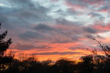 Sunset.jpg