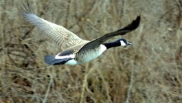 DSC_0858.jpg