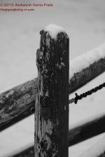 340 Fence Post-131208_01.jpg