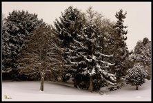Day343Winter.jpg