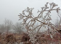 DSCN9453.jpg