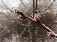 DSCN9465.jpg