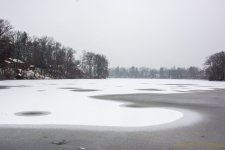 DSC_5950.jpg