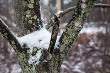 DSC_5953.jpg