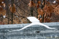 DSC_5954.jpg