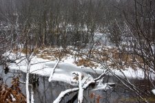 DSC_5957.jpg