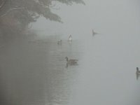 DSCN9469.jpg