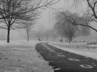 DSCN9478.jpg