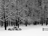 DSCN9571.jpg