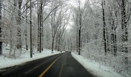 DSCN9577.jpg
