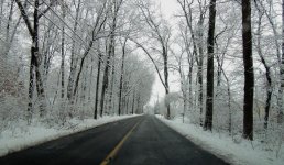 DSCN9578.jpg