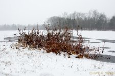 DSC_5964.jpg