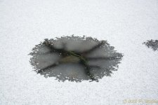 DSC_5967.jpg
