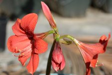 DSC_0654.jpg