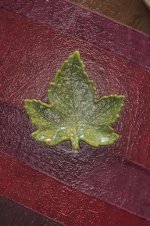 291-Leaf.jpg
