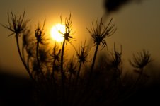sunset_small.jpg