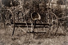 Old Rake-12.jpg