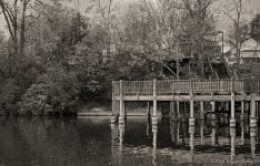 DSC_8979.jpg