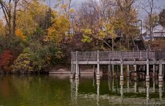 DSC_8979-1.jpg