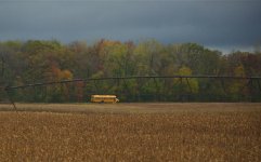 293-Bus.jpg