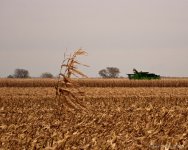DSC_8992.jpg