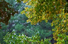 302-first snow.jpg