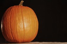 303-Pumpkin.jpg