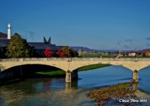 bridge2 (800x571).jpg