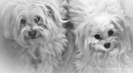 _DSC0172-Edit-Edit-Edit.jpg