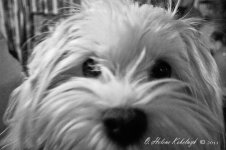 _DSC0255-Edit-2.jpg