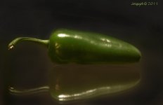 307-jalapeno.jpg