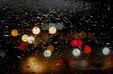 city lights 2011.jpg